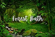 Forest Bathing: The Health Secret You Need to Try Now - Life is Positive