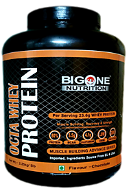 Big One Nutrition Octa Whey Protein