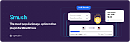 Smush Image Optimization – Optimize Images | Compress & Lazy Load Images | Convert WebP | Image CDN – WordPress plugi...