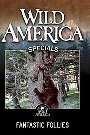 Wild America: Fantastic Follies