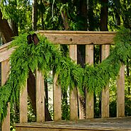 Lynch Creek Farm: Fresh Christmas Wreaths, Centerpieces and Gifts