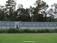 Havenbird Senior Care The Best Senior Care Woodlands Texas