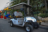 Buy Venom Golf Carts in Colorado Springs From Lifestyle Golf Carts