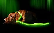 LED Dog Leash - USB Rechargeable - Make Your Dog More Visible & Safe - 6 Colors (Red, Blue, Green, Pink, Orange & Yel...