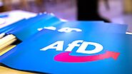 Papier von Verfassungsrechtlern Unterstützung für AfD-Verbotsverfahren