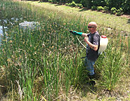 Stormwater Services - Stormwater Solutions in Jacksonville New Bern & Surrounding NC Areas