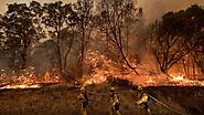 The First Wildfire Bill Of The Trump Administration Is An Unnatural Disaster