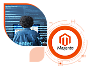 Expert Magento Development Services for a Seamless E-commerce Experience 