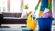 Website at https://cleanandprotect.services/must-have-8-cleaning-products-for-every-homeowner/