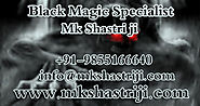 Black Magic Specialist Astrologer MK Shastri ji - Home | Facebook
