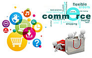 E-Commerce Application Development by Codeuridea