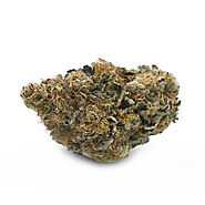 WeBeHigh - Beach Crasher Indica Dominant Hybrid Kush Strain for sale