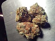 Blue Pave Marijuana Strain(Indica dominant Hybrid Strain in Colab with Quavo) - WeBeHigh