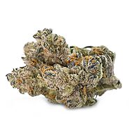 Pavé Kush Strain (Indica Dominant Hybrid – 70% Indica / 30% Sativa) - WeBeHigh