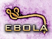 Ebola Pic