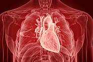 Best Cardiologist in Hyderabad – Leading Heart Hospital