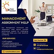 Empower Your Learning Journey with Management Assignment Support