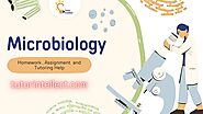 Master Your Microbiology Assignments | Expert Help Anytime!