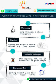 Common Techniques Used in Microbiology Labs