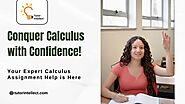 Get Expert Help with Your Calculus Assignments – Download This Guide Inside | PPT