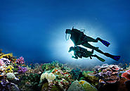 Scuba Diving