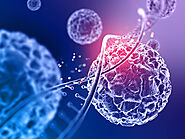 Best Cancer/Oncology Hospital in hyderabad | Chavan Hospitals