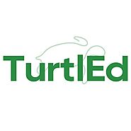 Achieve Academic Success with Math Online Classes | TurtlEd