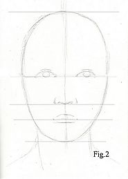 Proportions of the Face.