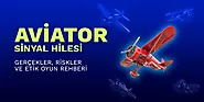 BigBrog Blog Aviator Sinyal Hilesi: Gerçekler, Riskler ve Etik Oyun Rehberi