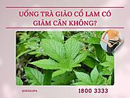 Uống trà giảo cổ lam có giảm cân không? Cần lưu ý khi uống?