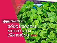 Uống nước rau mùi có giảm cân không? 4 cách uống rau mùi