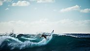 Surfing Basics: Tips For Beginners