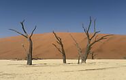 Southern Namibia: An Adventure Through Ancient Landscapes - Pack Ya Bags Travel