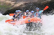 Adventure Awaits with Our Friend and Family Travel Guides