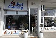 Pet Gallery