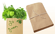 Tầm quan trọng của việc sử dụng túi giấy bảo vệ môi trường - Micopak