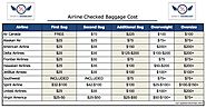 Real Cost of Airlines Baggage Shipping in USA | Golfovernight