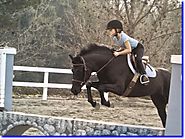 Best Youth Riding Lesson Programs Online