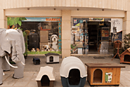 Markos Pet Shop