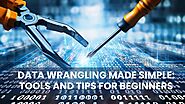 Data Wrangling Made Simple: Tools and Tips for Beginners