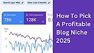 How To Choose a Profitable Blog Niche 2025 - Manzar Rehman