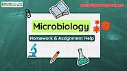 Microbiology Homework Made Easy | Expert Help for Better Grades!