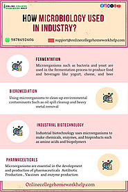 How Microbiology is Used in Industry