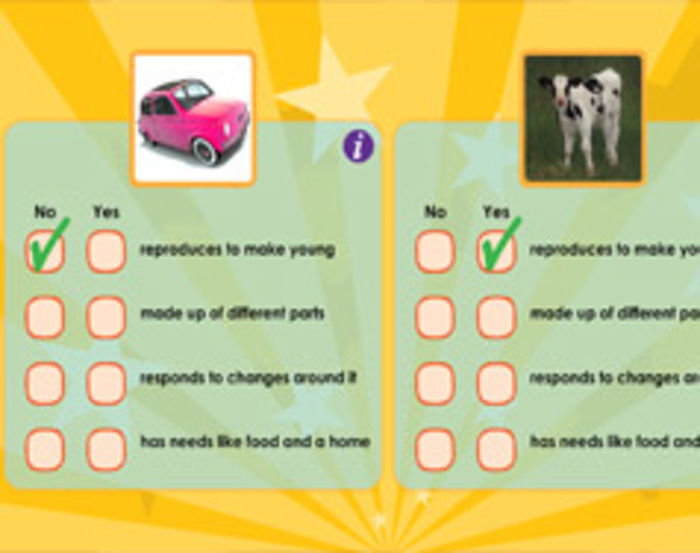 Fun Kindergarten Science Lessons | A Listly List