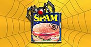 How to Avoid Spam Referrals in Getting into Your Website