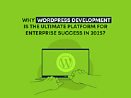 How WordPress Powers Enterprise Success in 2025?