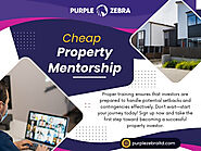 Cheap Property Mentorship
