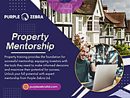 Property Mentorship