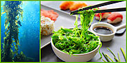 Seaweed Eating Producing Worth Worthy Health Benefits - Healthy Living Benefits