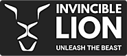 Digital Marketing Consultant in India | Invincible Lion 10X